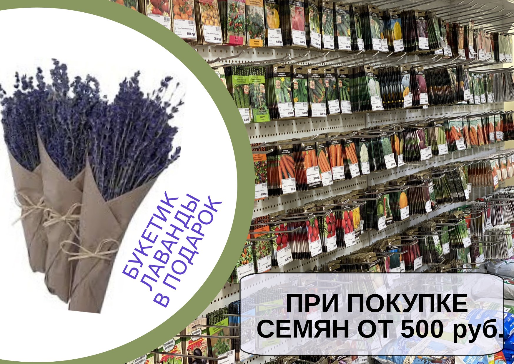 НОВОЕ ПОСТУПЛЕНИЕ СЕМЯН ОТ ФИРМЫ ПОИСК НОВОЕ ПОСТУПЛЕНИЕ СЕМЯН ОТ ФИРМЫ ПОИСК