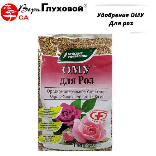 Основное изображение товара