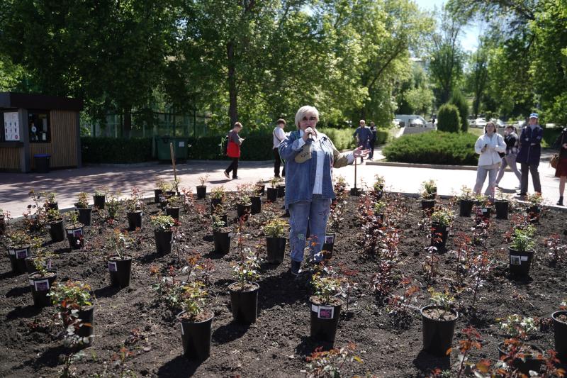 Посадили 99 роз на набережной Волги!