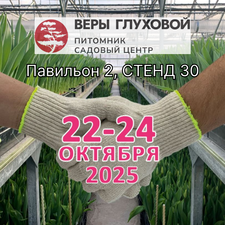 Сделаем мир ярче и красивее вместе!