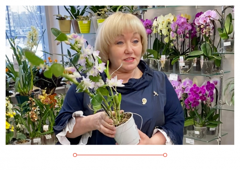 новый выпуск Дачные Советы с Галиной Старосельцевой