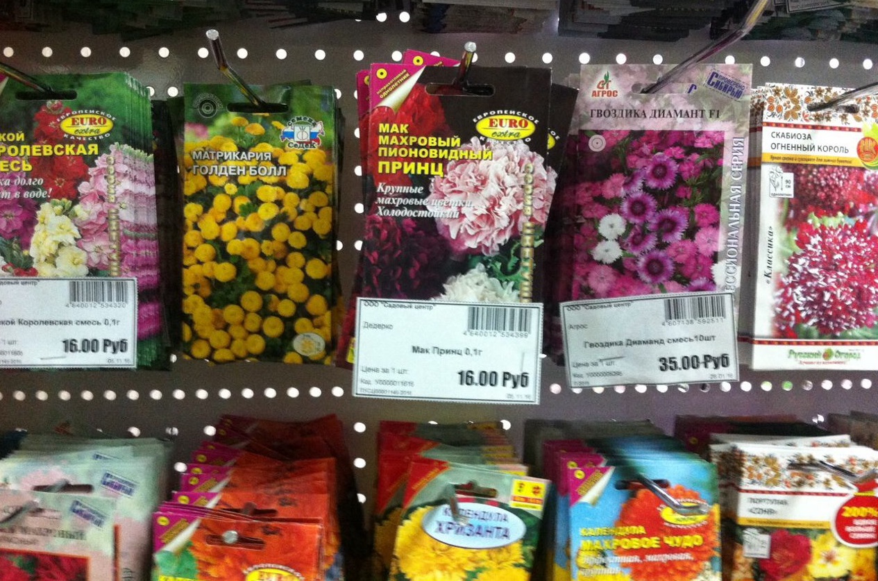 Дорогие друзья! Приглашаем всех в наши магазины за семенами многолетних цветов и овощных культур. Дорогие друзья! Приглашаем всех в наши магазины за семенами многолетних цветов и овощных культур.