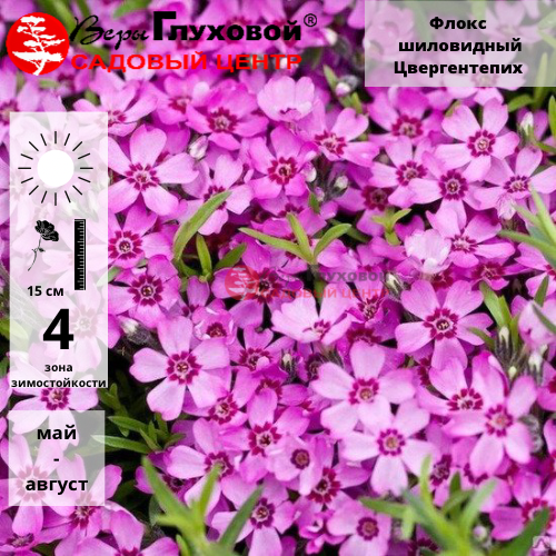 Основное изображение товара