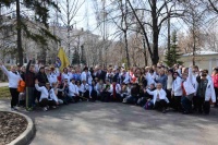 Посадка гортензий на 2 очереди Самарской набережной