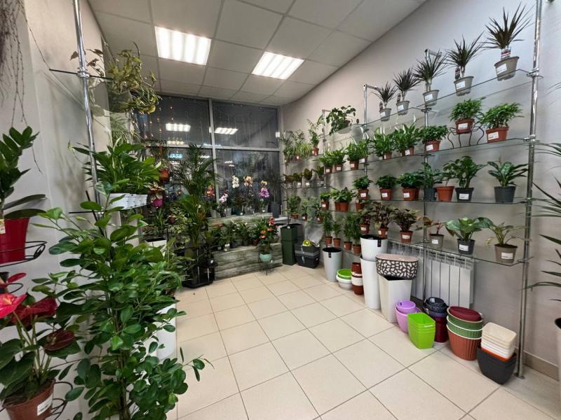 Магазин горшечных цветов открывает двери