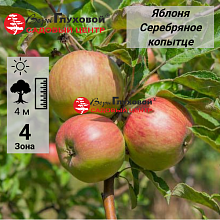 Основное изображение товара