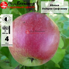 Основное изображение товара