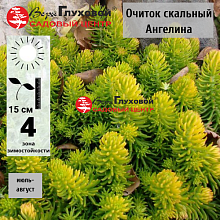 Основное изображение товара