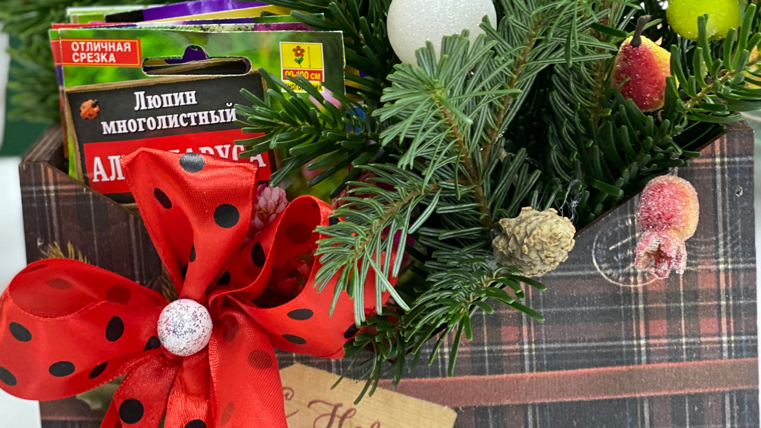 Новый выпуск "Дачные советы" от 24 декабря 2020 года