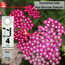 Основное изображение товара