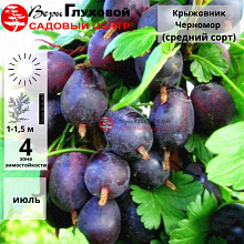 Основное изображение товара