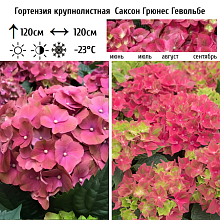 Основное изображение товара