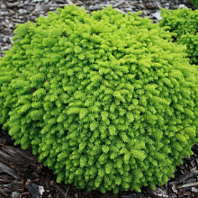 Основное изображение товара